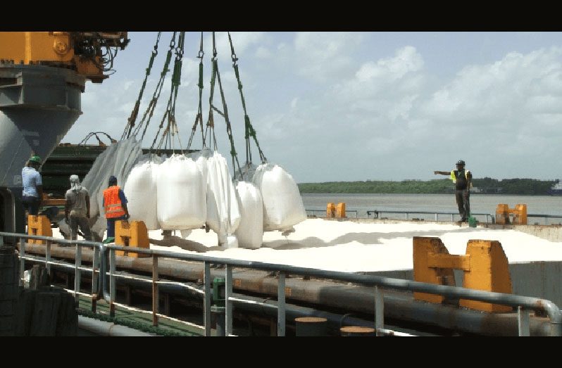 Guyana: $7.7B earned from rice exports during first quarter of 2022